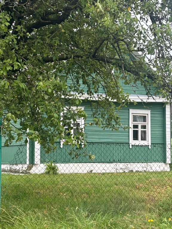 Деревенский домик в лесу