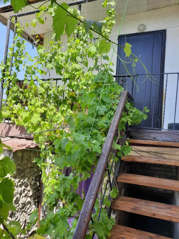 Коттедж Жилье со всеми удобствами — аренда посуточно в Феодосия