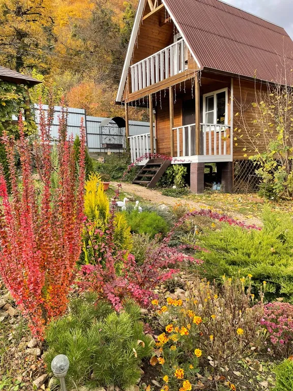 Домик у леса