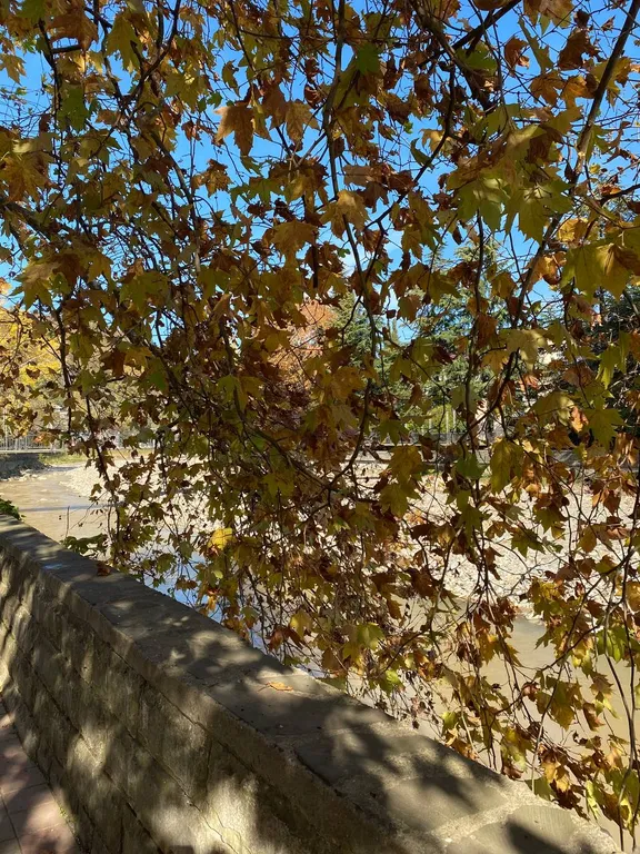 Best apartment in Khosta