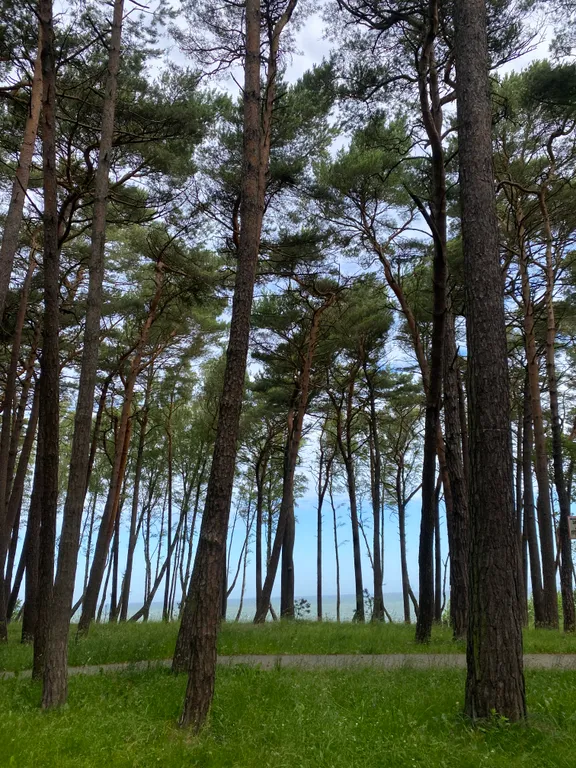 Уютная квартира в 15 минутах от Балтийского моря