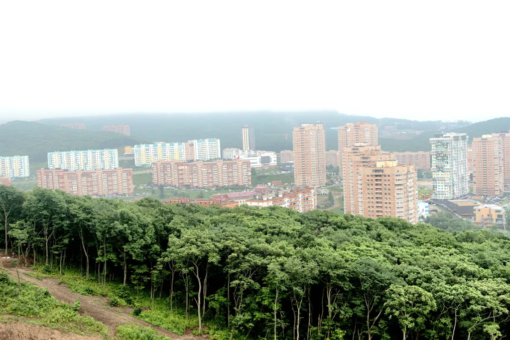 Уютная квартира в экологически чистом районе Владивостока