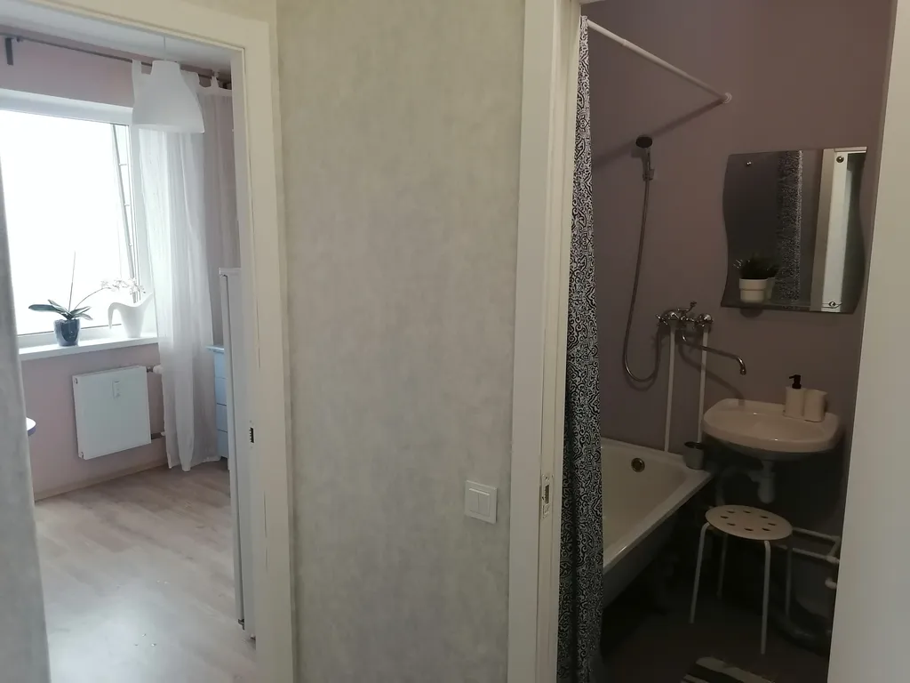 Уютная однокомнатная квартира в Ивушках