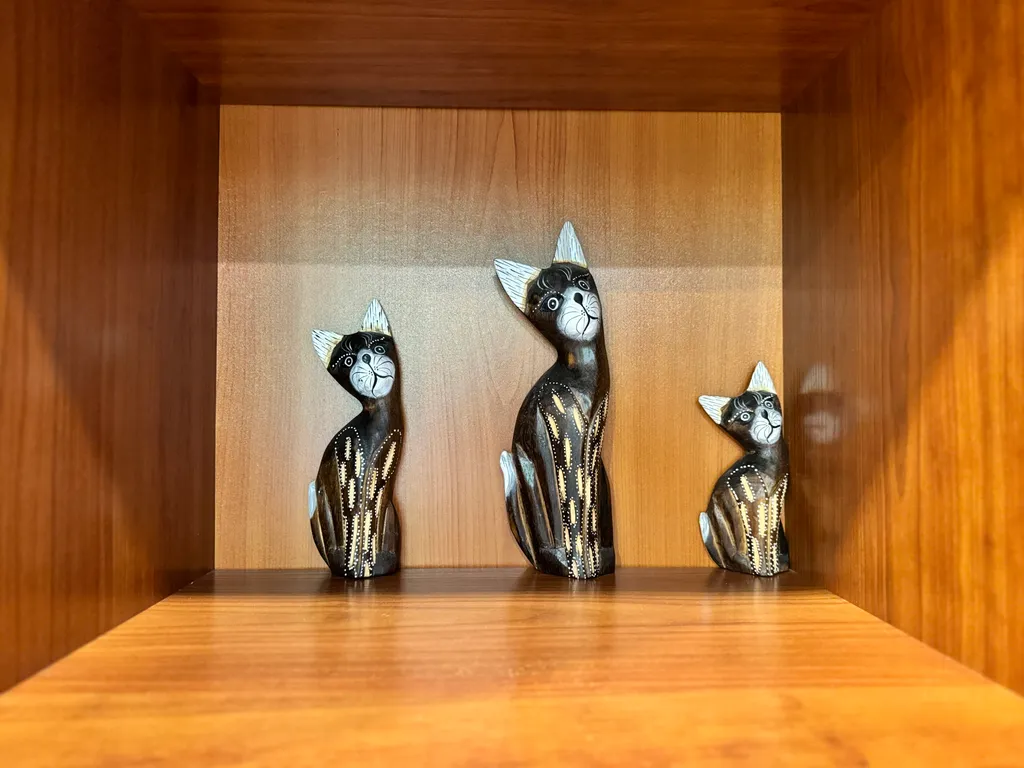 Мяу-квартира на Курортном проспекте