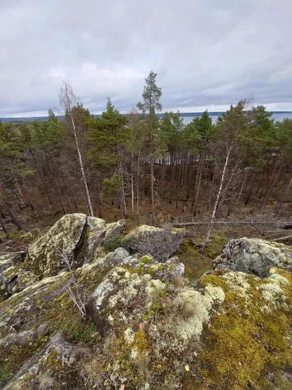 Коттедж Дом в окружении леса и скал — Мережнаволок