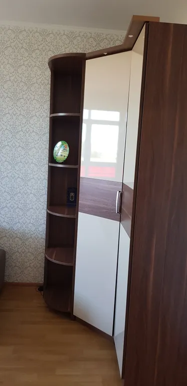 Квартира Уютная квартира — Светлогорск