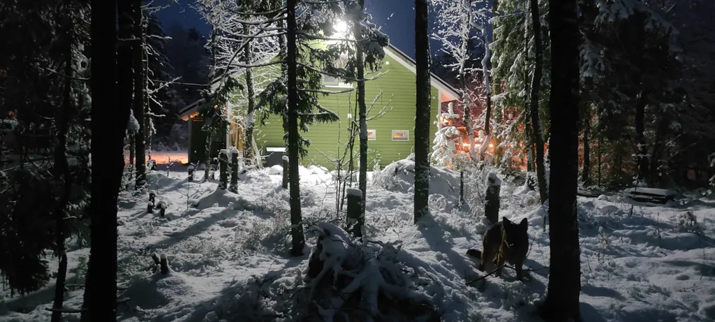 Дом для уединения в лесу и шумных вечеринок