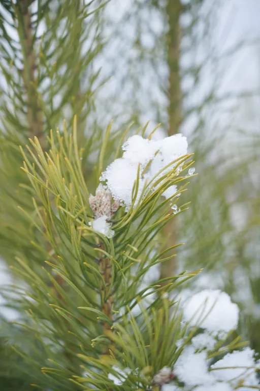 Дом на реке