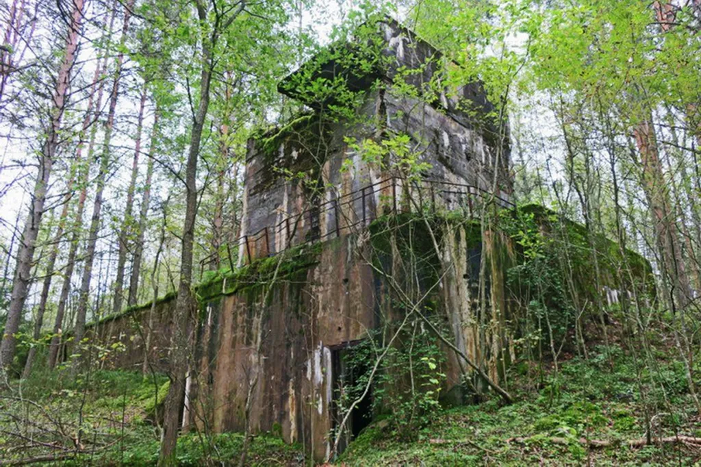 Коттедж Домик Коиви в Приморске — Приморск