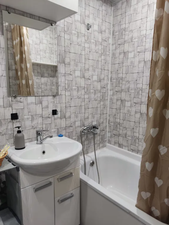 Уютная квартира у Галереи Чижова