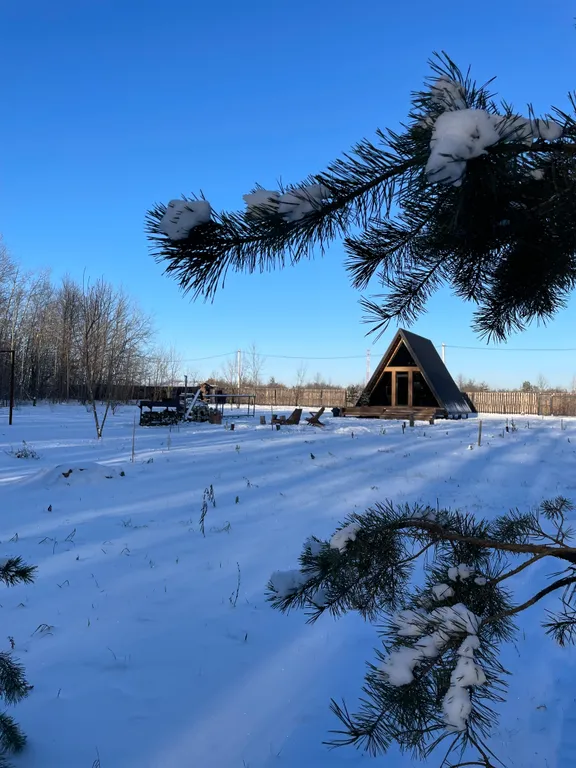 Уютный панорамный треугольный дом A-frame с видом и окружением леса
