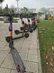 Электросамокаты в аренду