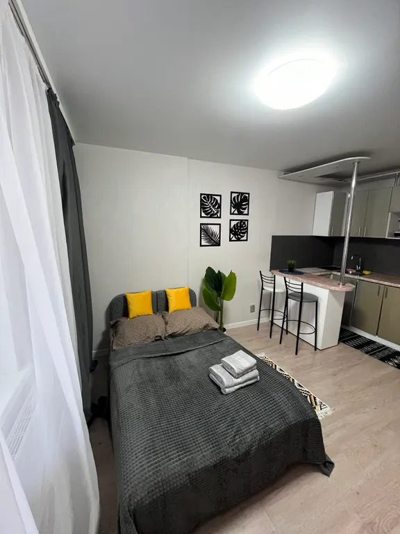 Oчeнь уютная студия для двоиx гоcтей