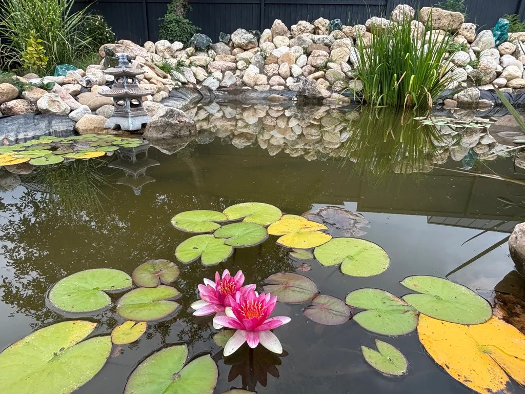 Дом афрейм с видом на горы и пруд