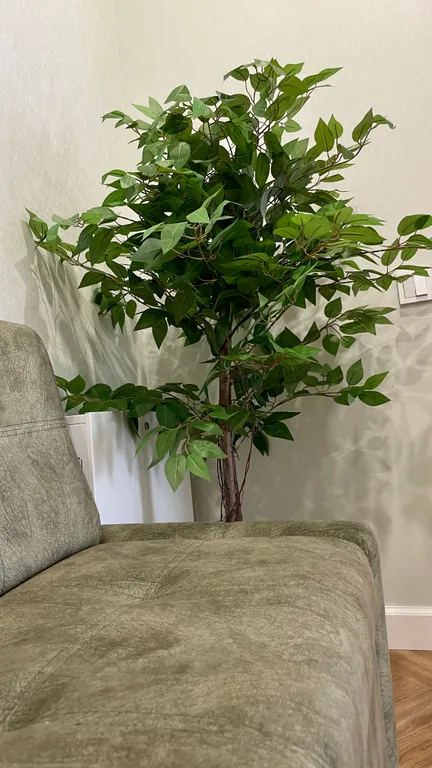 Квартира Красивая квартира в сердце Ярославля! — Ярославль