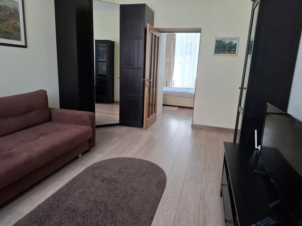 Уютная квартира в центре города, главная пешеходная улица