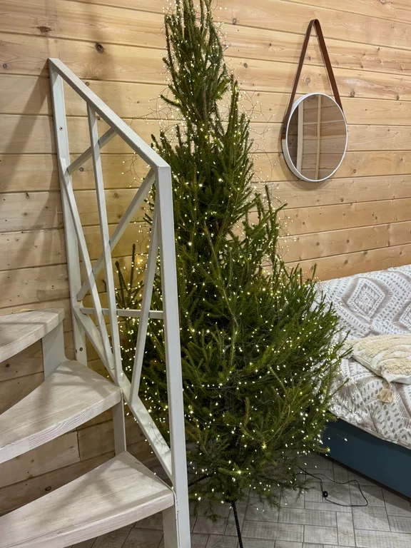 Домик в соснах с баней