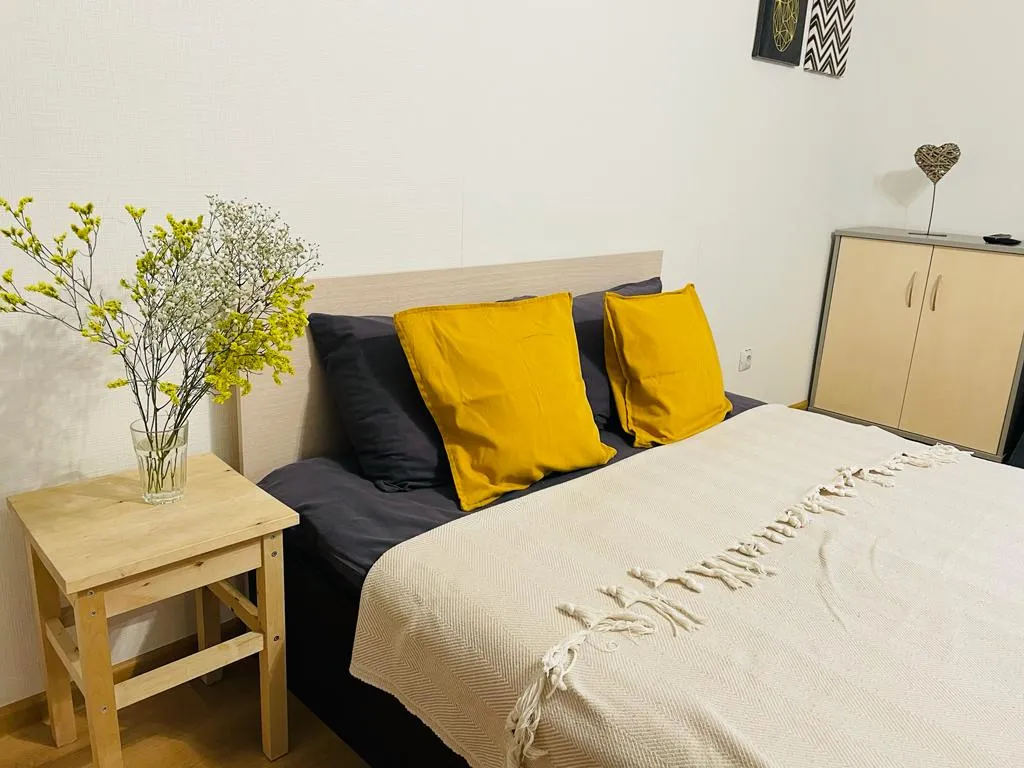 Квартира Квартира Студия у НИИ Петрова — Песочный