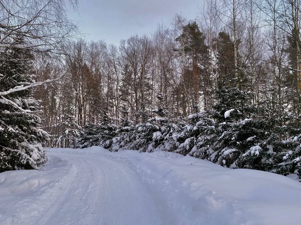 Дом с видом на пруд