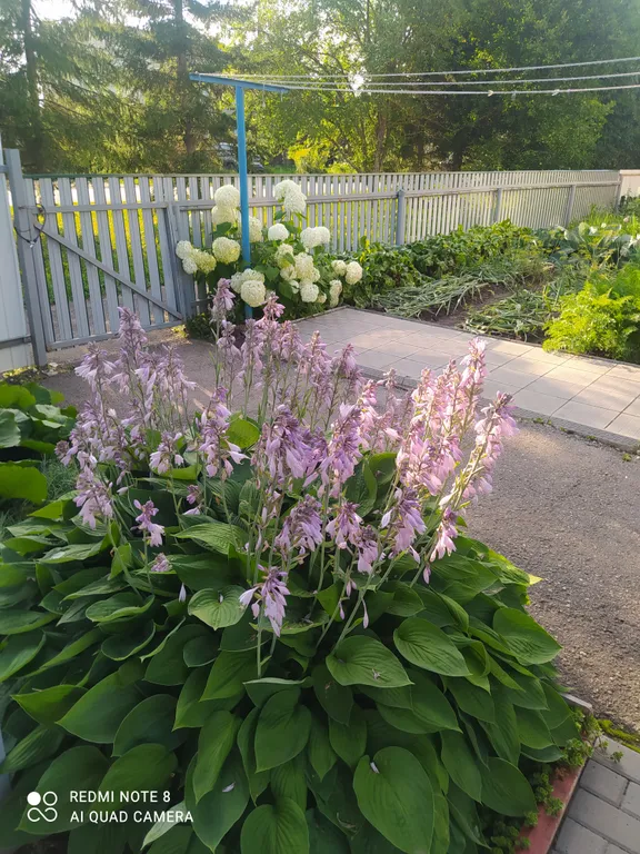 Уютная квартира рядом с монастырем, с отдельным входом  от соседей.