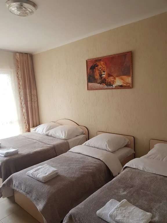 3-х местный стандарт