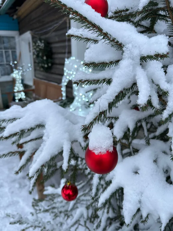 Дом в городе петрозаводске с красивым уединённым участком и баней