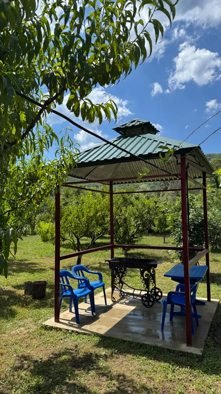 Дом Уединение - лес, река, барбекю-зона, сад, приватный уют