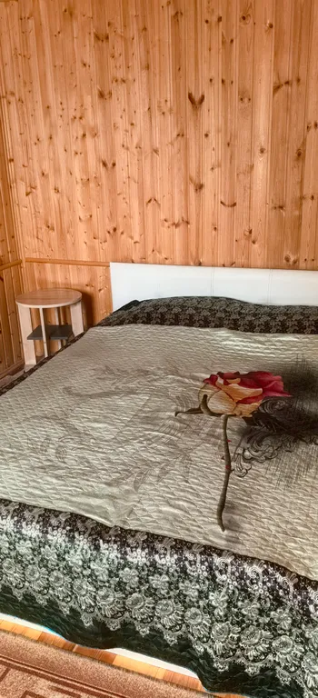 Дом с русской баней на дровах , хамам и бассейном