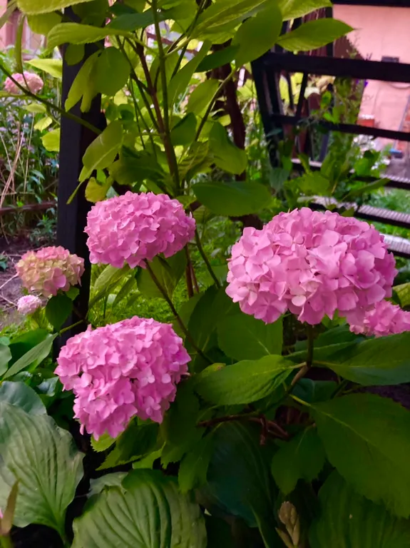 Коттедж Отдельный домик с террасой и зоной барбекю — Калининград