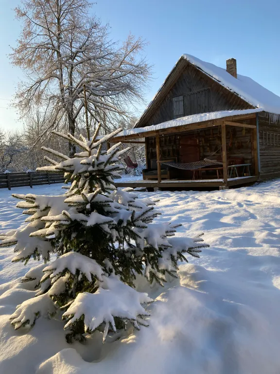 Уютный лесной домик со всеми удобствами
