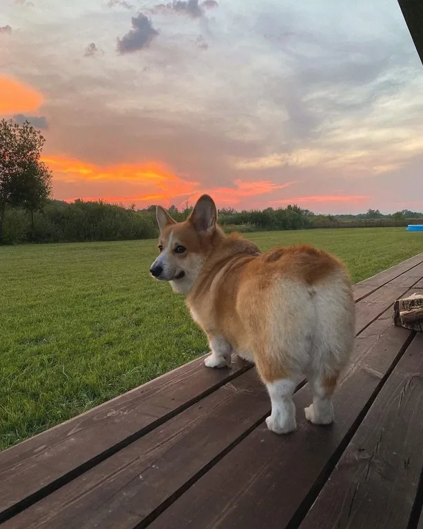 Солнечный дом