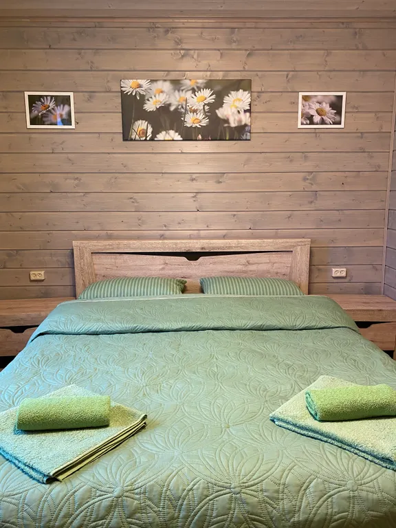 Уютный дом на Селигере