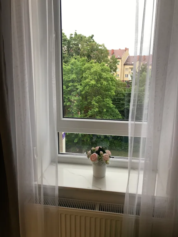 Дизайнерская студия