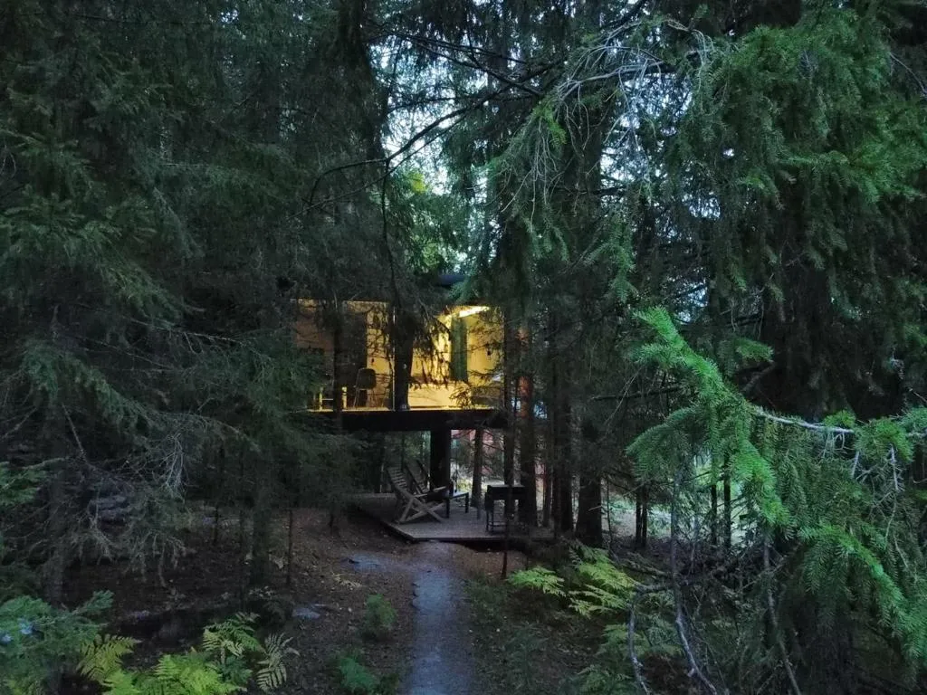 Коттедж комфорт класса с видом на лес