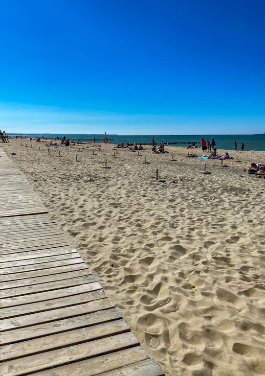 Квартира Квартира Апартамент на первом этаже коттеджа с отдельным входом и видом на сад — Зеленоградск