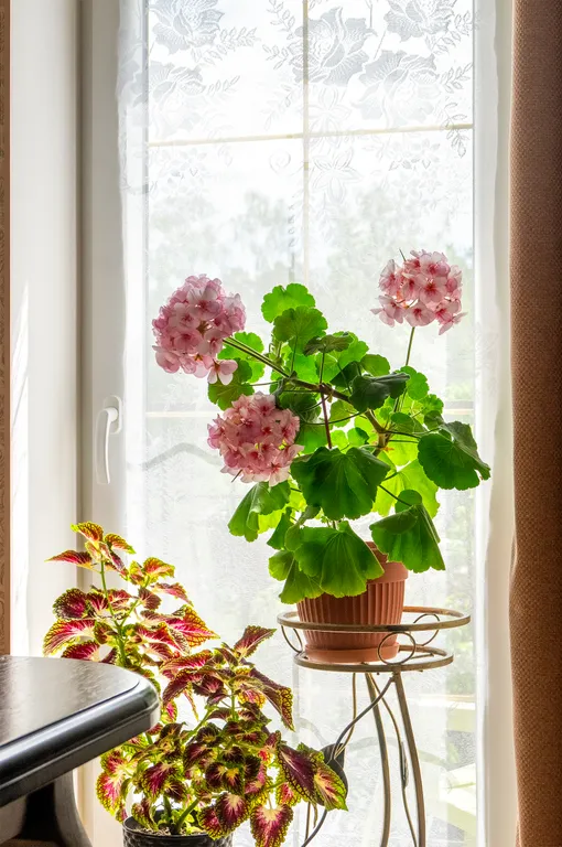 Апартаменты Кайрос с балконом