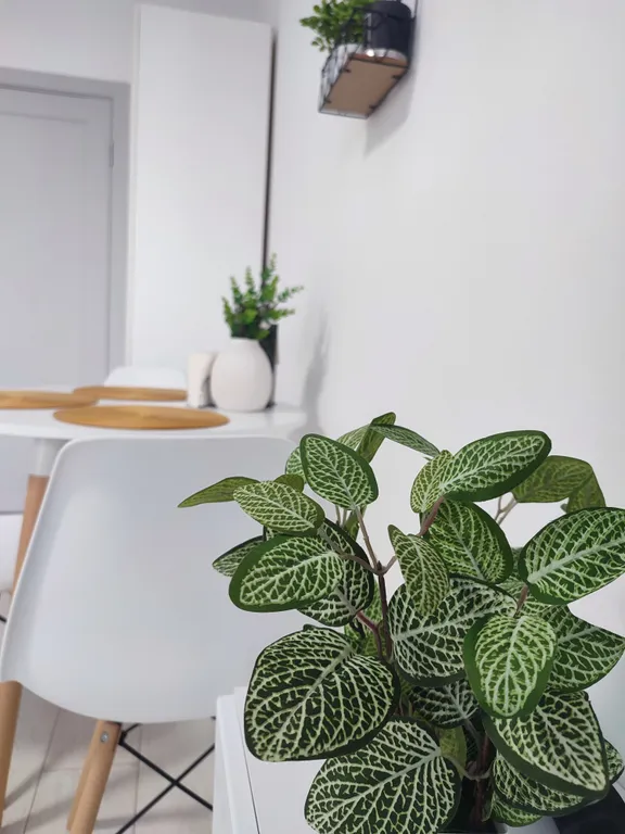 Квартира Квартира Уютная новая студия в ЖК Юттери — Колпино