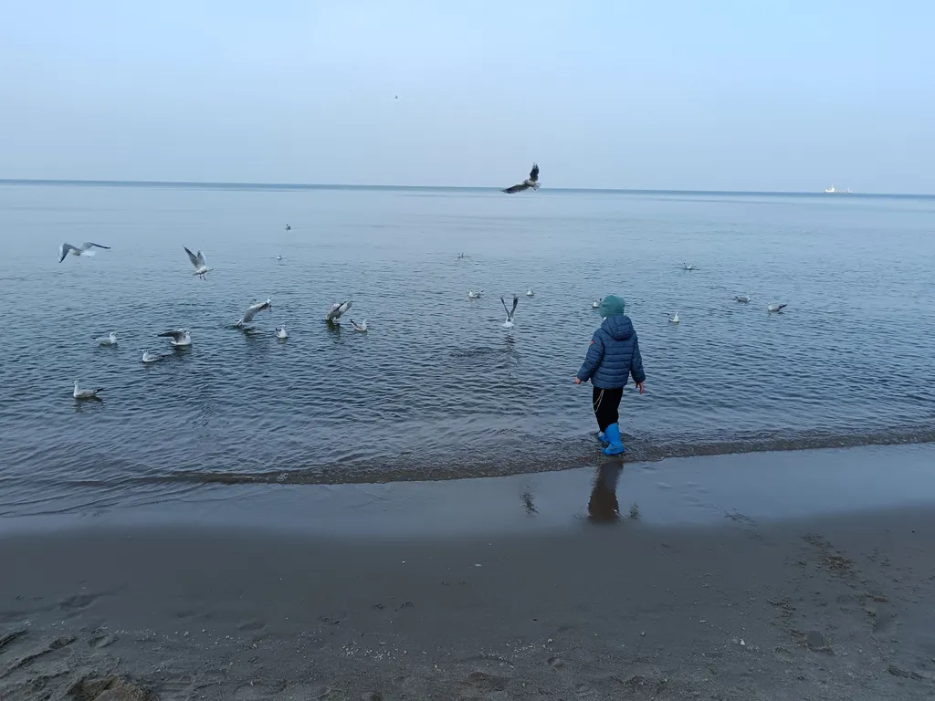 Квартира Уютная квартира — Светлогорск