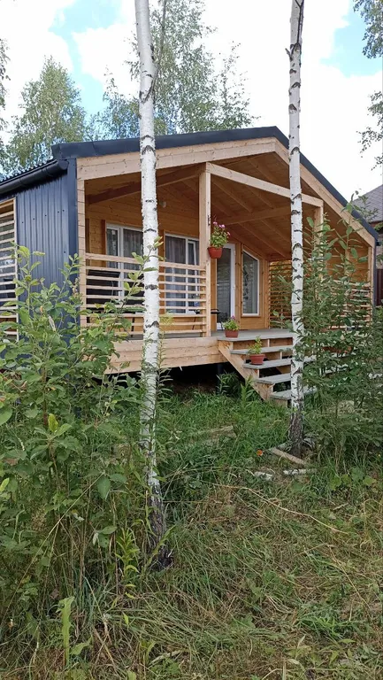 Уютный дом среди берёз и ёлочек