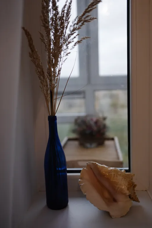 Квартира Квартира-душа и море — Пионерский