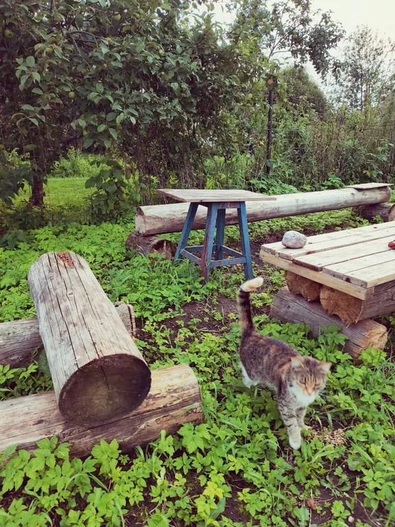 Атмосферный дом в старинном Торжке