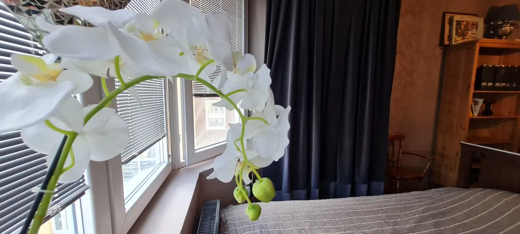 Романтичная квартира у парка