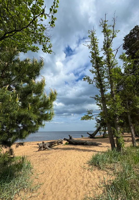 Новый загородный дом Lень на юге Ленинградской области