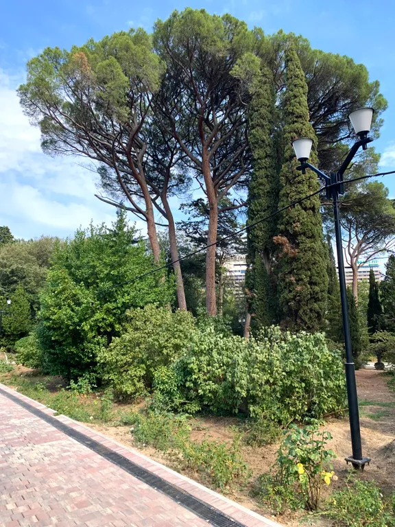 Отличный видовой пентхаус