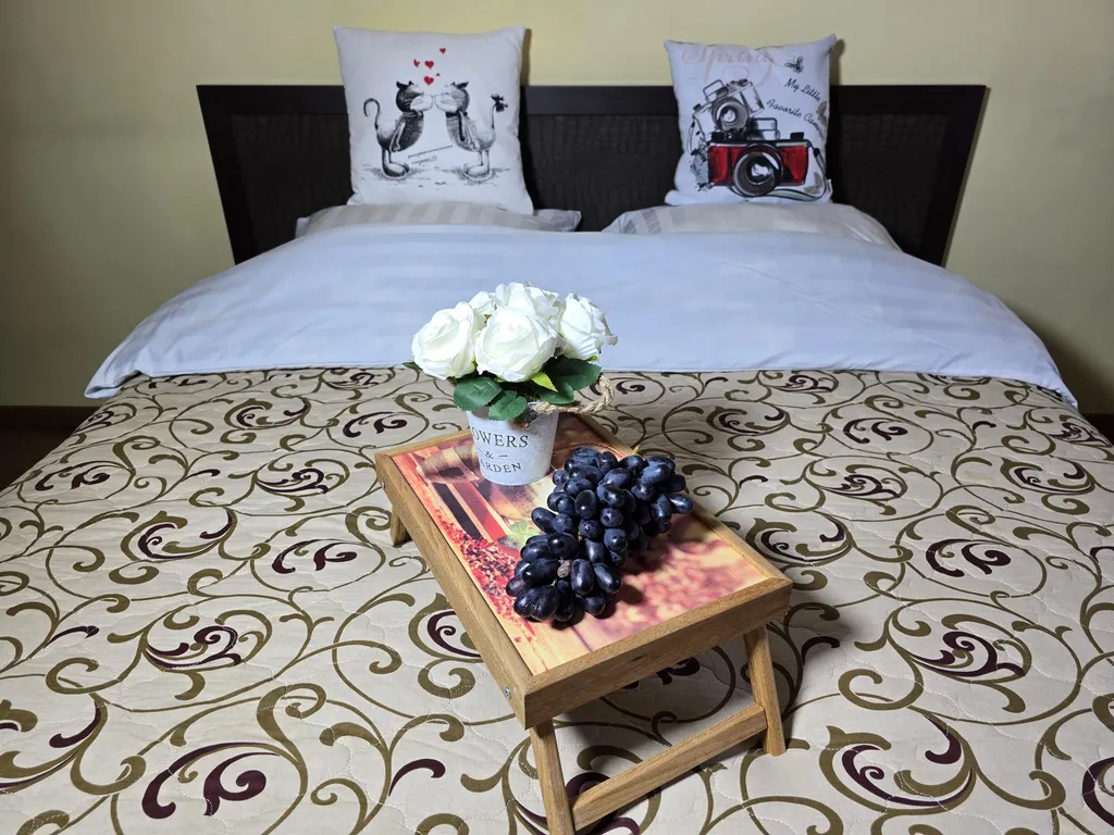 Шикарная квартира в центре города