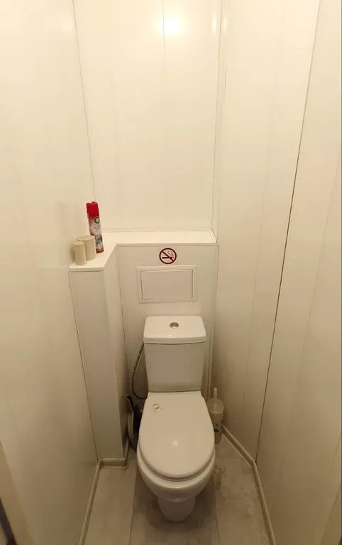 Квартира Светлая, уютная квартира для большой семьи или компании — Красноярск