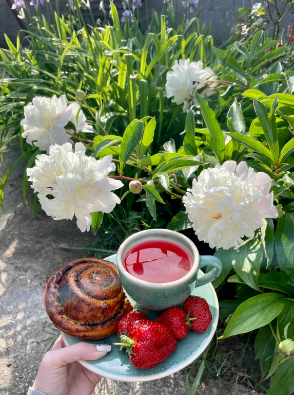 Квартира Квартира Просторный 3-х местный номер на 1 линии — Севастополь