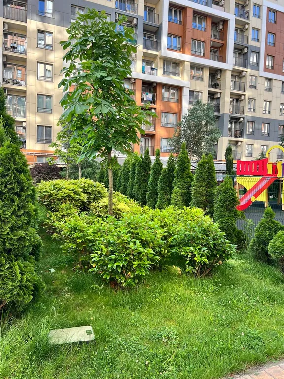 Каравелла Португалии