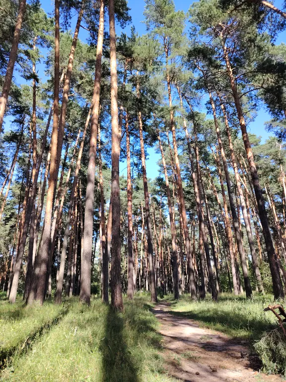 Однокомнатная квартира в Жуковском на Нижегородской