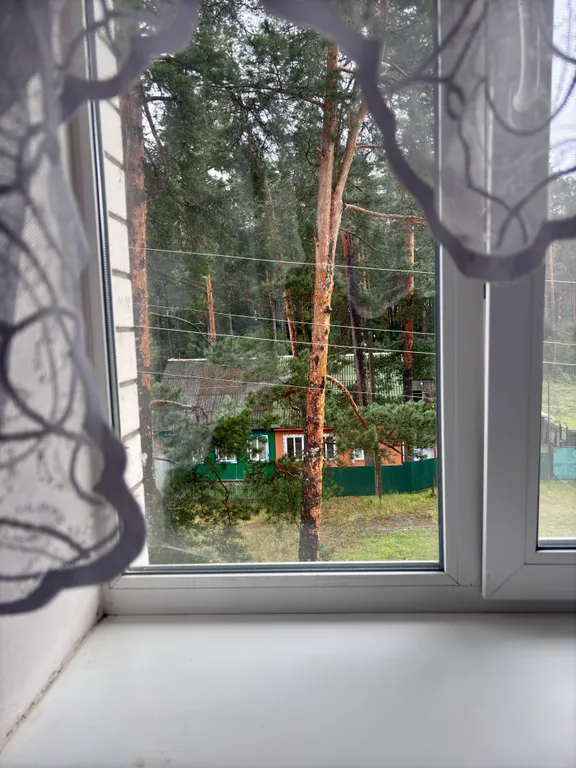 Квартира с видом на сосны